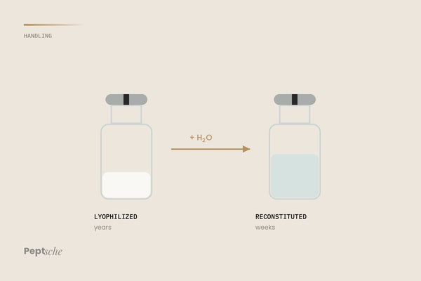 Lyophilized vs Reconstituted